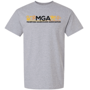 G200 Gildan Ultra Cotton T-Shirt - Sport Grey