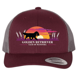 6606 Yupoong Adult Retro Trucker Cap - Maroon/Grey