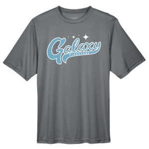 TT11 Team 365 Performance T-Shirt - Sport Graphite